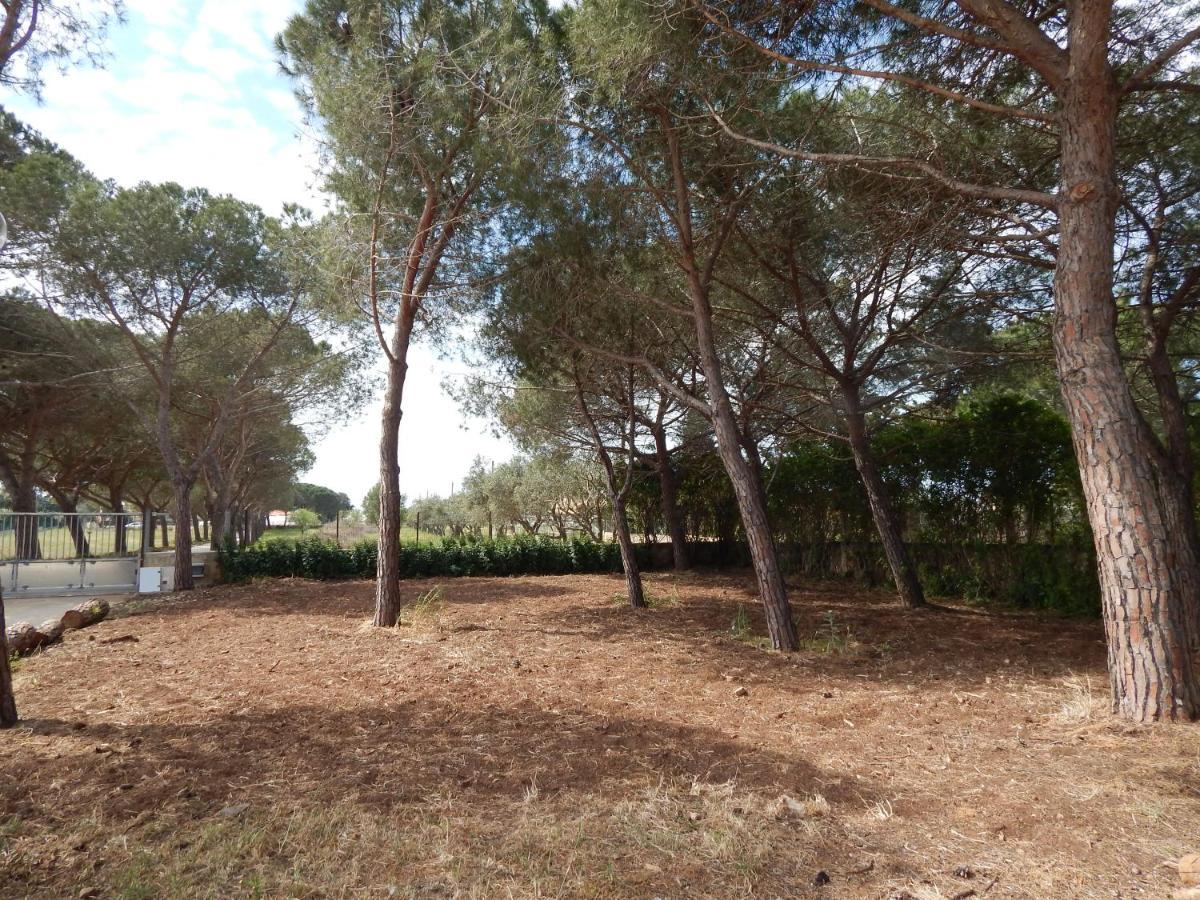 Turtle Island Apartments Santa Croce Camerina Exterior foto