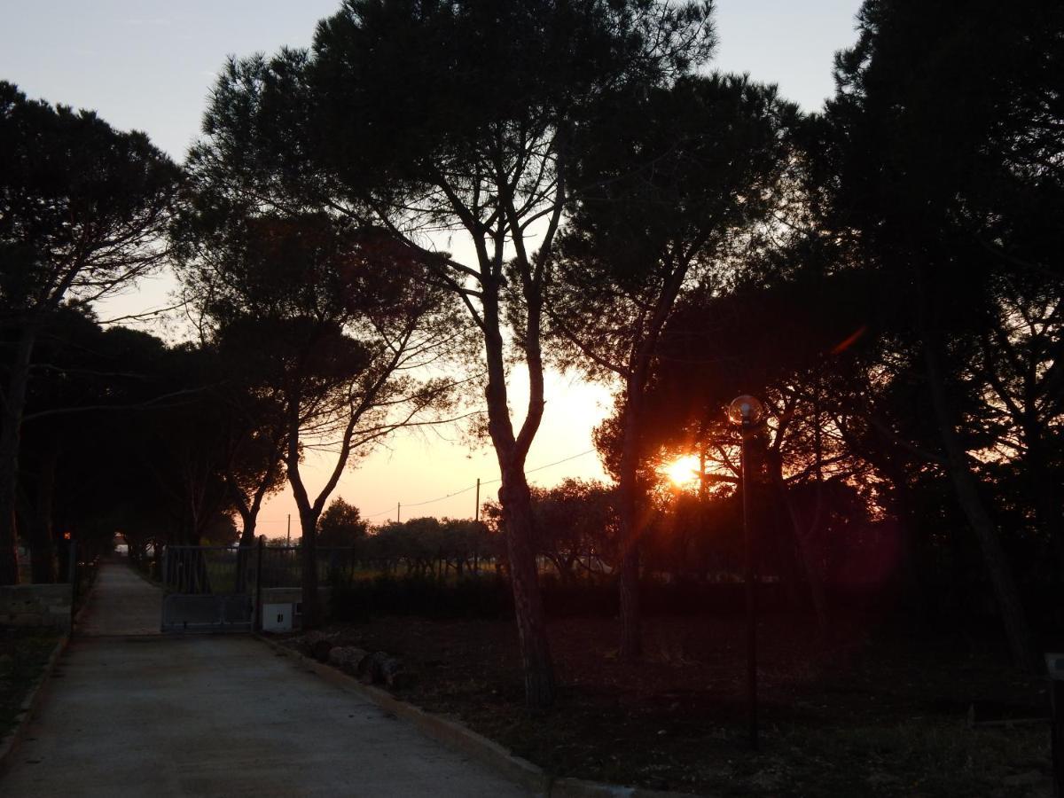 Turtle Island Apartments Santa Croce Camerina Exterior foto