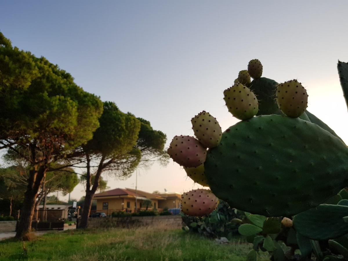 Turtle Island Apartments Santa Croce Camerina Exterior foto