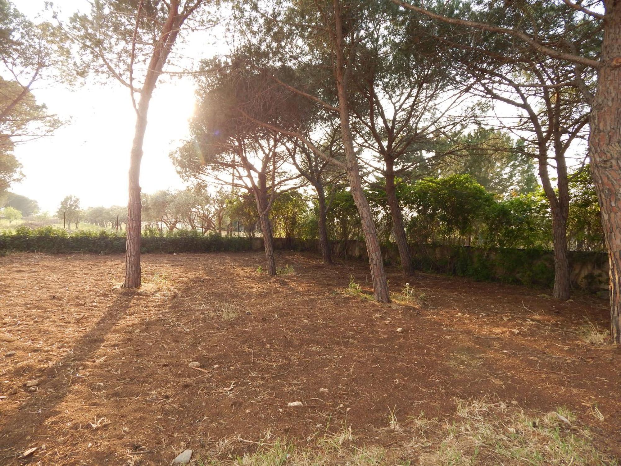 Turtle Island Apartments Santa Croce Camerina Exterior foto