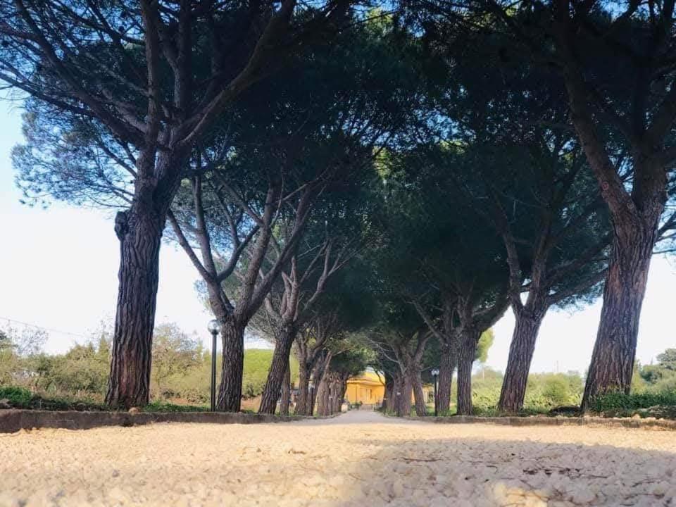 Turtle Island Apartments Santa Croce Camerina Exterior foto