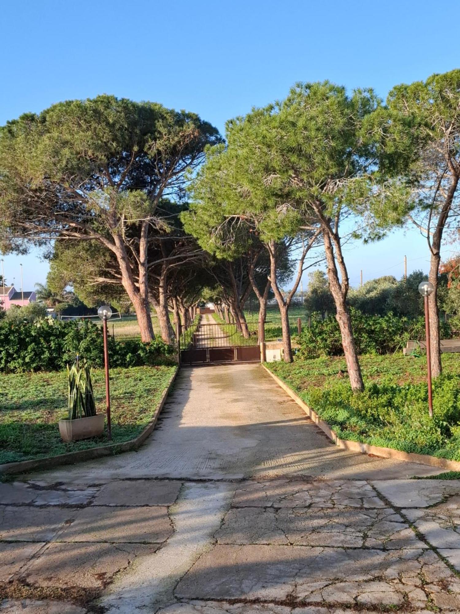 Turtle Island Apartments Santa Croce Camerina Exterior foto